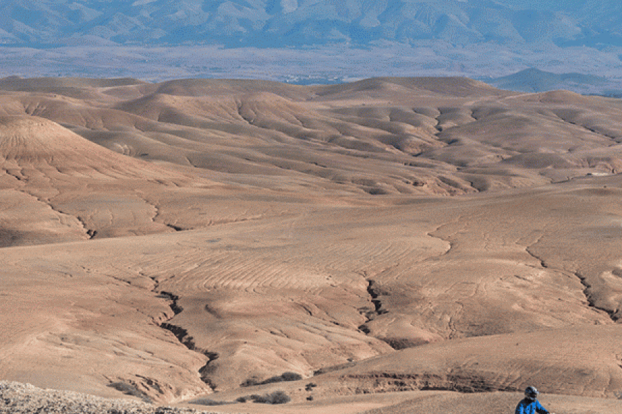 Quad Biking Adventure in the Palmeraie of Marrakech